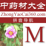 中药拼音索引:m