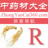 中药拼音索引：r