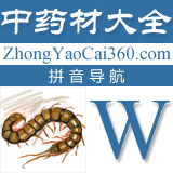 中药拼音索引:w
