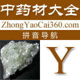 中药拼音索引:y