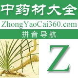 中药拼音索引:z